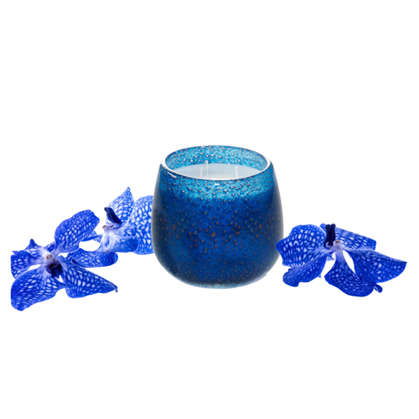 Alixx Fleur de Lagoon Candle