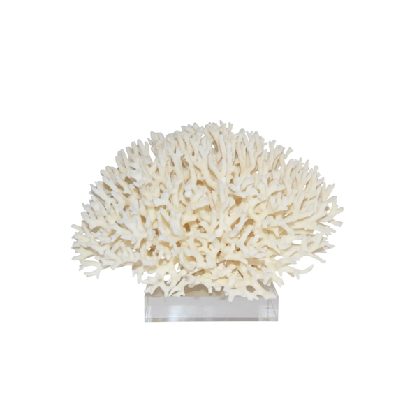 Coral on Base- Large