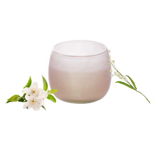 Alixx Jasmin de la Nuit Candle