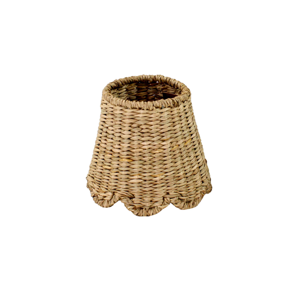 Seagrass Scallop- Large